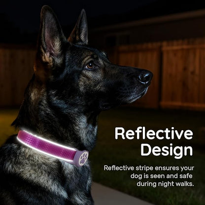 Airtag Dog Collar, IPX8 Waterproof Air Tag Dog Collar Holder | Reflective Ultra-Durable | Soft Padded | Safety Locking Buckle | Fit Miedium Dogs (Purple M(12.6"-19.6"))
