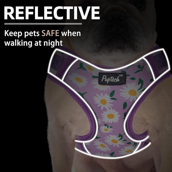 PUPTECK Small Dog Harness and Leash Set, No Pull Adjustable Puppy Cat Harness, Reflective Soft Mesh Pet Vest Small Sized, Daisy, M