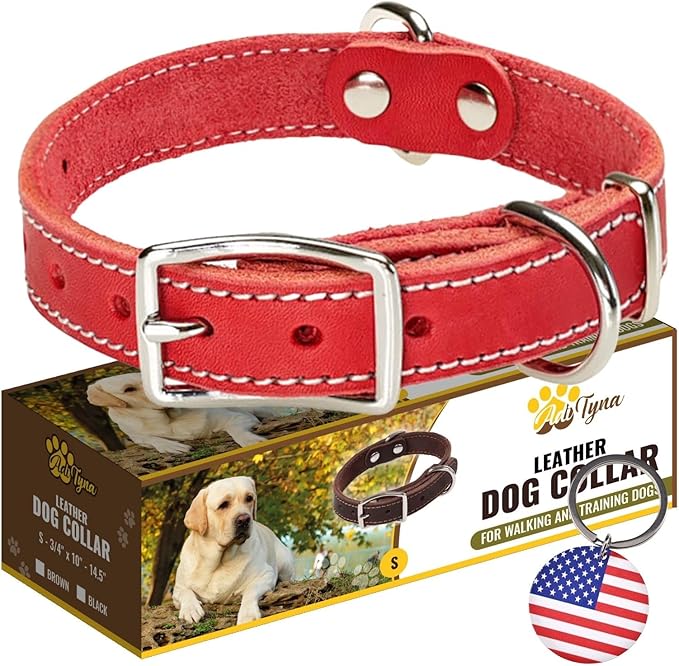 Heavy Duty Red Leather Dog Collar for Small Dogs- Soft and Strong Dog Collar for Puppy (Small: Fit 10" - 14.5" Neck, Red)