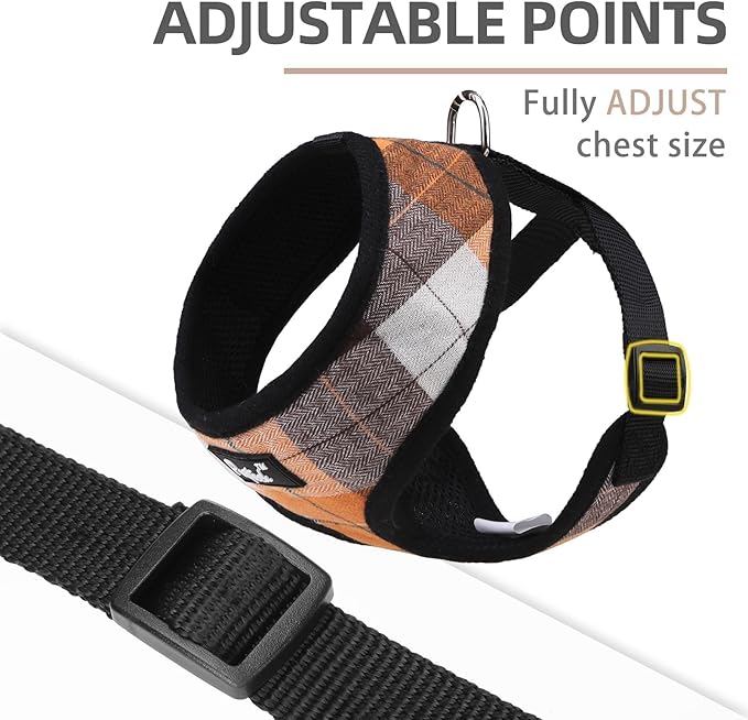PUPTECK Soft Mesh Dog Harness and Leash Set Pet Puppy Cat Comfort Padded Vest No Pull Harnesses, Orange, XS