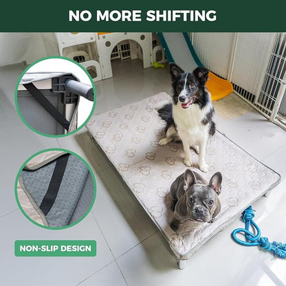 FXW TitanNest Chew-Proof Elevated Dog Bed, Raised Cot for Indoor/Outdoor/Camping Use, Durable & Waterproof Cooling Pet Bed with Exclusive Cover for Large Dogs, 47.0" L x 29.0" W x 7.3" H, Black
