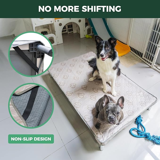 FXW TitanNest Chew-Proof Elevated Dog Bed, Raised Cot for Indoor/Outdoor/Camping Use, Durable & Washable Padded Pet Bed with Exclusive Cover for Extra-Small Dogs, 29.0" L x 18.0" W x 4.5" H, Gray