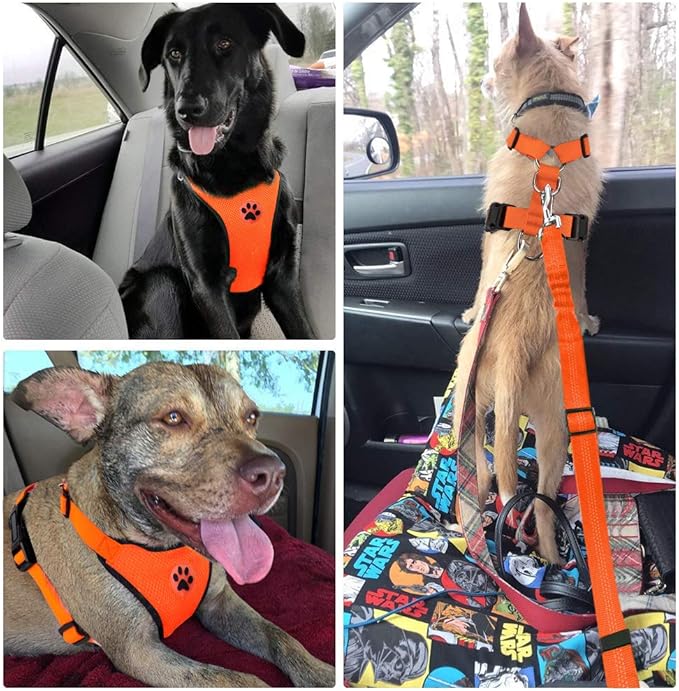 Lukovee Dog Seat Belt for Car, Adjustable Dog Car Harness for Large Medium Small Dogs, Soft Padded & Breathable Mesh Dog Seatbelt with Car Vehicle Connector Strap (Orange Double Clip,Medium)