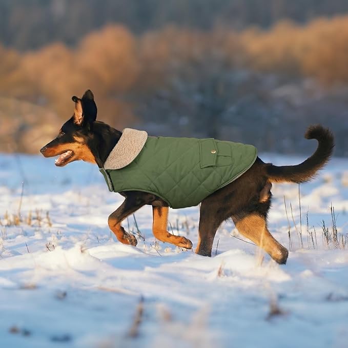 Winter Coat for Medium Dogs, Dog Plaid Jacket, Pets Coat for Cold Weather, Windproof Warm Garments, Pet Thickened Outfits Indoor Outdoor, Army Green M