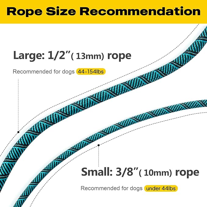 Fida Durable Slip Lead Dog Leash, 6 FT x 3/8" Heavy Duty Comfortable Strong Rope Slip Lead for Small Dogs and Puppies, No Pull Pet Training Lead with Highly Reflective(3/8", Blue)