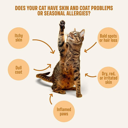 ivvi Skin & Coat for Cats – Functional Creamy Snack with Salmon Oil, Algae Oil, Zinc, Collagen & Biotin – Supports Skin and Fur Health – 30 x 0.53 oz Sachets – with Real Tuna