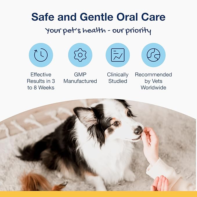 ProDen PlaqueOff Scoopables - Hickory Smoked Bacon Flavor Dental Bites for Large Dogs, Natural Kelp for Plaque & Tartar Control, Freshens Breath -Large & Giant Breed Dental Care- 45 Scoops