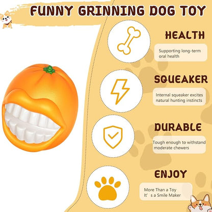 Indestructible Dog Squeaky Ball - Tough Chew Toy for Aggressive Chewers, Medium/Large Dogs Fetch Toy for Indoor, Outdoor & Water Play - Orange