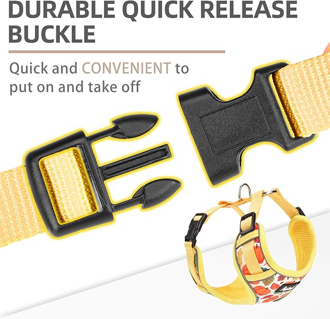 PUPTECK Thanksgiving Fall Small Dog Harness and Leash Set, No Pull Adjustable Puppy Cat Harness, Reflective Soft Mesh Pet Vest Small Sized, Leaves, S