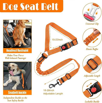 LOBEVE No Pull Dog Harness, Collar & Leash Set | Includes Dog Seat Belt, Collapsible Bowls & Poop Bag Dispenser. Ideal for Training, Walking, Hiking. Fits Small to Large Dogs(Orange-S)