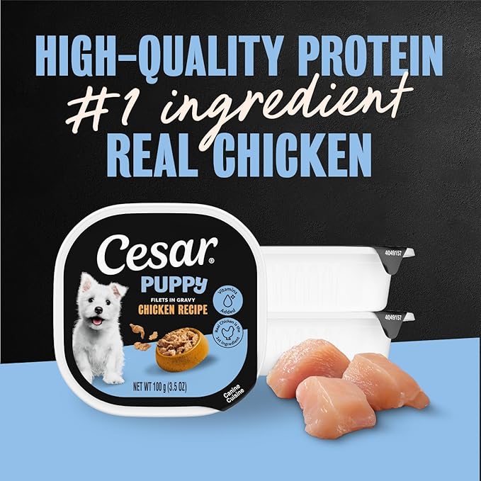 Cesar Puppy Filets in Gravy Wet Dog Food, Chicken Recipe, 3.5 oz. Easy Peel Trays, Dog Food Toppers, 24 Count