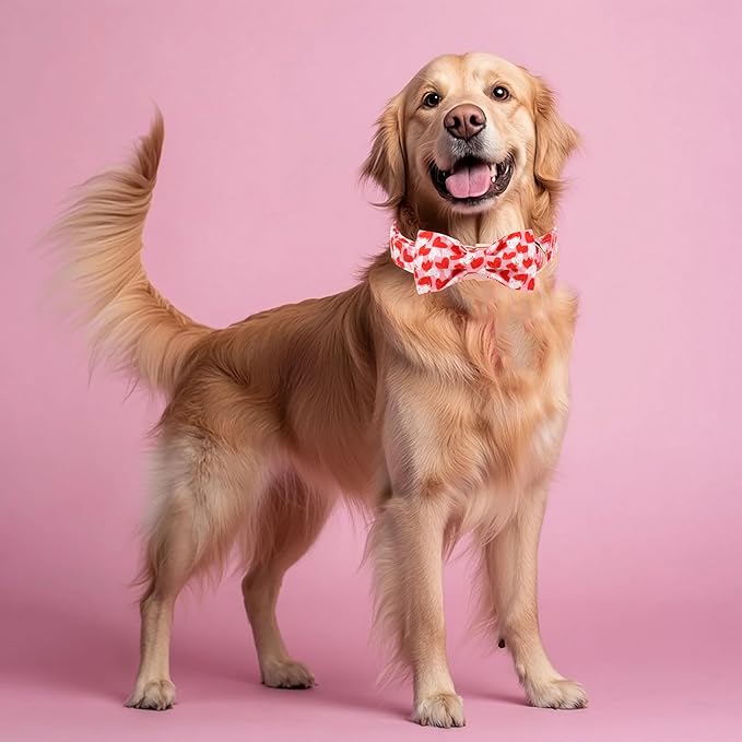 Valentines Dog Collar with Bow Tie - Cute Valentine Doodle Hearts Pink Girl Bowtie Dog Collar, Adjustable Metal Buckle Dog Collars for Small Medium Large Dogs S