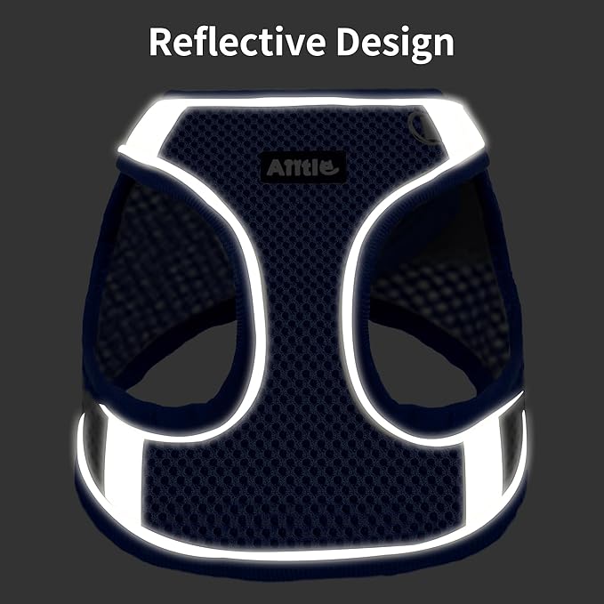 AIITLE Dog Harness, No-Pull Cat Harness with a Leash, Adjustable Reflective Dog Vest, Cat Harness Escape Proof, Outdoor Walking, Running,Training for Extra Small Dogs and House Cats Royal Blue XXXS