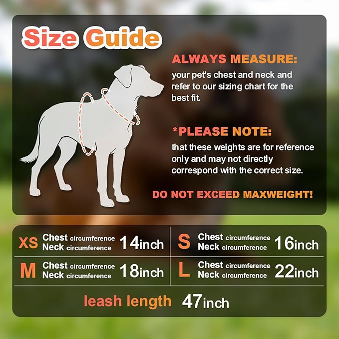 Dog Harness Medium Sized Dogs, Puppy Harness and Leash Set for Training, Running, Walking, Suitable for Small and Medium Dog Vest, Orange, M