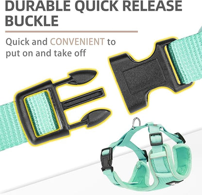 PUPTECK Small Dog Harness and Leash Set, No Pull Adjustable Puppy Cat Harness, Reflective Soft Mesh Pet Vest Small Sized, Green, XS