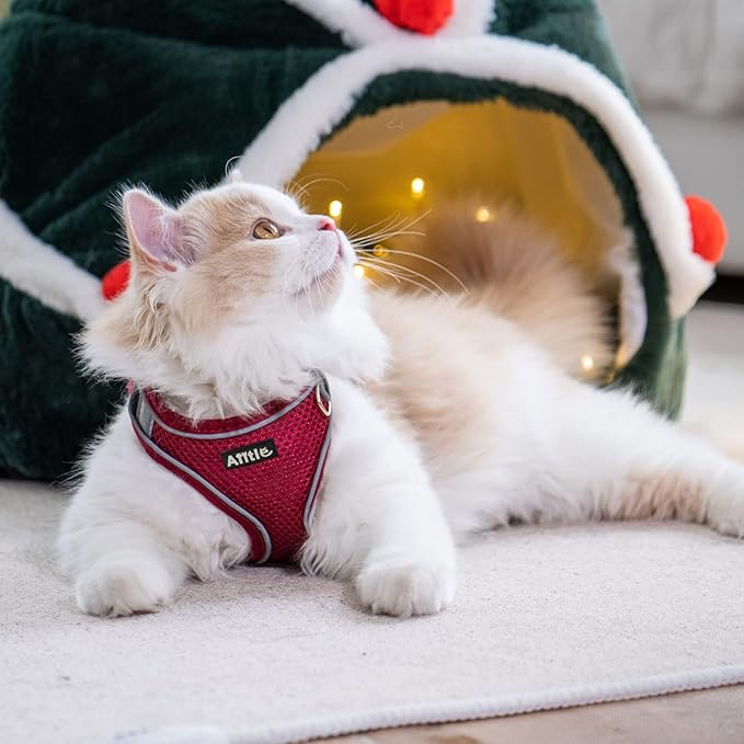 AIITLE Easy Walk Dog Harness and Leash Set - Christmas Pet Supply No Pull, Step in Adjustable Dog Harness with Padded Vest, No Choke Over, Easy to Put on Medium Dogs Burgundy L
