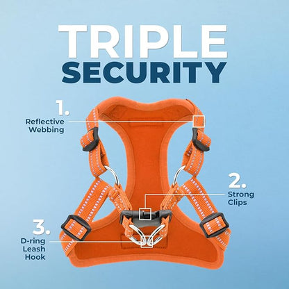 Best Pet Supplies Voyager Adjustable Step-in Flex Breathable Mesh Dog Harness for Small Medium Large Dogs Leash Set (Orange), XL