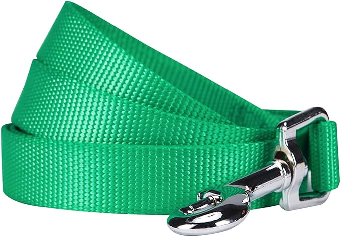 Blueberry Pet Essentials Emerald Dog Leash for Medium - 5' * 3/4" Dogs | Heavy Duty Nylon Lead | Lightweight Puppy & Cat Leash for Walking & Training