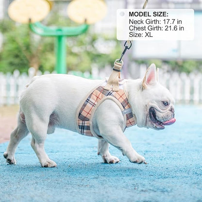 BEAUTYZOO Small Dog Harness and Leash Set,Step in No Choke No Pull Soft Mesh Dog Harnesses Reflective for Extra-Small/Small Medium Puppy Dogs and Cats, Plaid Dog Vest Harness for XS S Pets, Beige M