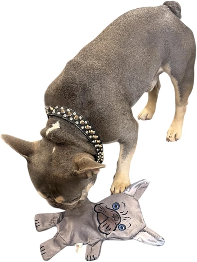Piggy Poo and Crew French Bulldog Crinkle Squeaker Fetch Toys 2 Pack for Dogs Puppies Small Animals