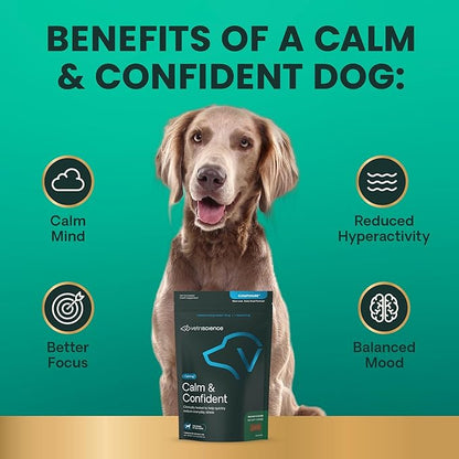 VetriScience Calm & Confident Chews, Composure Clinically Tested Calming and Anxiety Supplement for Dogs, Reduce Stress and Fear, Ideal for Thunderstorms, Fireworks and Travel, Bacon, 120 Count