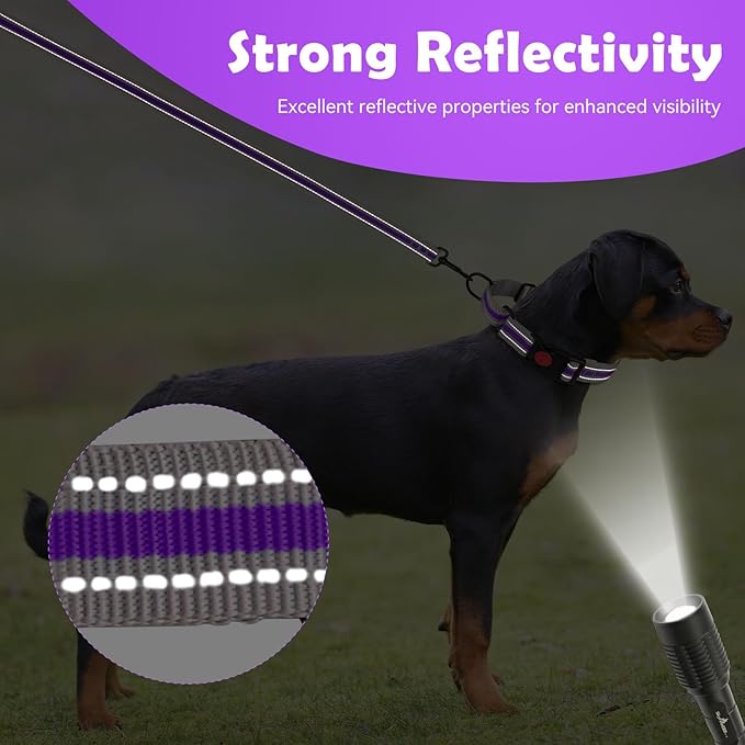 Martingale Collar for Dogs,Soft Neoprene Padded Reflective Martingale Collar and Leash Set Safety Buckle Nylon Martingale Collar for Small Dogs(Purple&S)