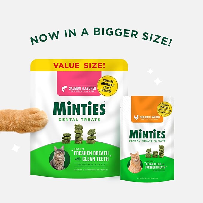 Minties Dental Treats for Cats, Salmon Flavor | 10oz | Pack of 2 | Freshens Breath | Controls Tartar