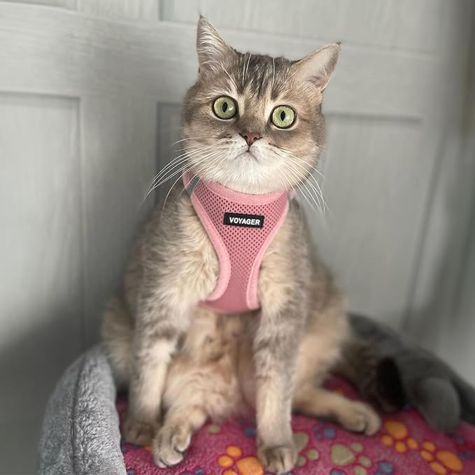 Best Pet Supplies Voyager Step-in Air Harness - All Weather Mesh, Reflective, No Pull Harness for Dogs, Cats - Secure with Hook & Loop Fastener, Buckle, Double D-Rings - Pink, XXS