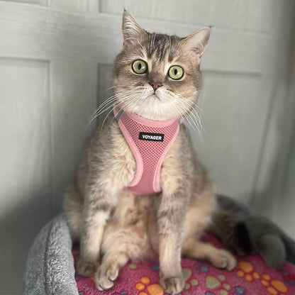 Best Pet Supplies Voyager Step-in Air Harness - All Weather Mesh, Reflective, No Pull Harness for Dogs, Cats - Secure with Hook & Loop Fastener, Buckle, Double D-Rings - Pink, XXXS