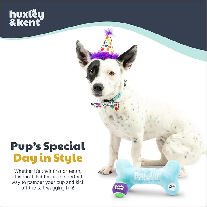 Huxley & Kent Celebration Box for Dogs - Fun Gift Kit with Plush Squeaky Toys, Party Hat, Bow Tie & Banner - Birthday, Gotcha Day & Special Occasion Dog Kit - Happy Barkday Box, Small