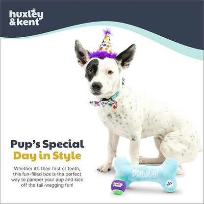 Huxley & Kent Celebration Box for Dogs - Fun Gift Kit with Plush Squeaky Toys, Party Hat, Bow Tie & Banner - Birthday, Gotcha Day & Special Occasion Dog Kit - Happy Barkday Box, Small