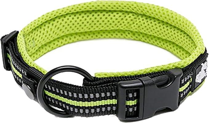 TRUE LOVE Dog Collar Reflective Premium Duraflex Buckle,High Grade Nylon Webbing No Choke Basic Collars TLC5011(Neon Yellow,3XL)