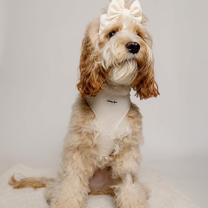 Large Dog Harness Set – Cute No Pull, All Weather, Breathable Harness and Leash Set with Collar, Bandana, Sailor Bow & Poop Bag Holder – Adjustable, Soft & Stylish – Cream Hearts on Jacquard Fabric