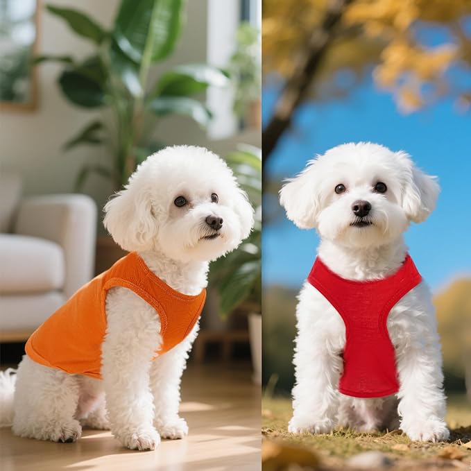 4 Pcs Cat Shirts Solid Color Dog Clothes Summer Sleeveless Pet T Shirts for Small Pet Dogs Cat (Black,Grey,Red,Orange, X-Small)