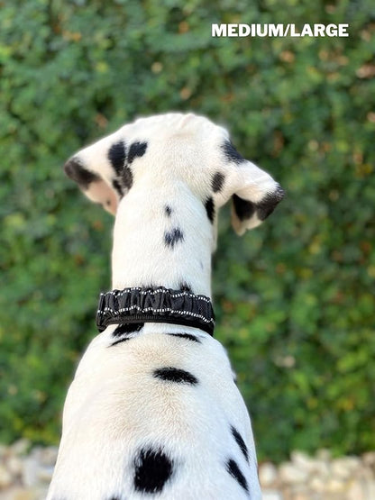 Tuff Pupper Heavy Duty Dog Collar with Handle | Ballistic Nylon Heavy Duty Collar | Padded Reflective Dog Collar with Adjustable Stainless Steel Hardware | Convenient Sizing for All Breeds
