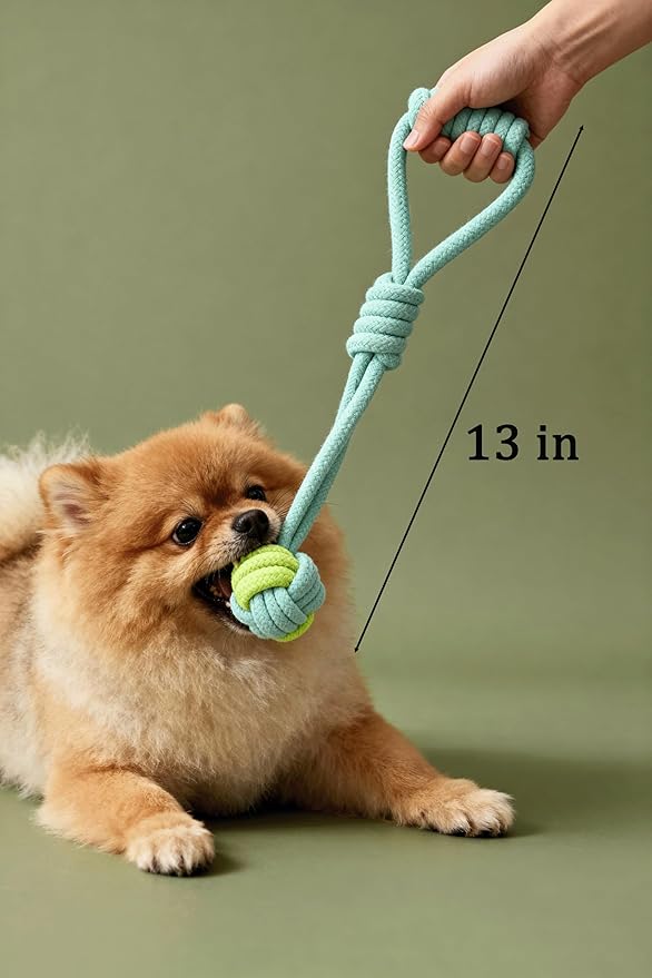 6 Pack Interactive Dog Toy Set,Squeaky Latex, Plush & Rope Toys for Small and Medium Dogs, Fun Chew Toys for Training, Play, and Exercise