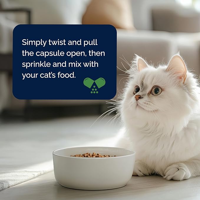 YuMOVE Cat Joint Supplement with Glucosamine,Chondroitin, Omega 3, Hyaluronic Acid, & Green Lipped Mussel - Joint Support Supplement - for Senior Cats 60 Capsules