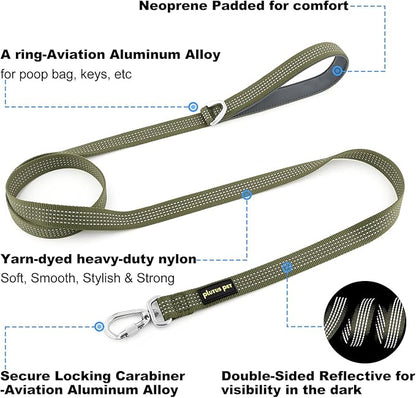 Plutus Pet Heavy Duty Dog Leash with Lockable Aluminum Carabiner, 4/6 Feet Long, Double-Sided Reflective Nylon, Padded Handle, for Puppy, Small, Medium and Large Dogs (Ranger Green, 4/5" x 6')