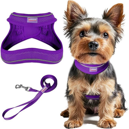 Dog Harness and Leash Set,Step in Small Sized Dog Harness,Soft Mesh,No-Chock,Reflective Adjustable,Secure with Hook & Loop Fastener,Puppy Vest for Small,Medium Dogs(Purple,M)