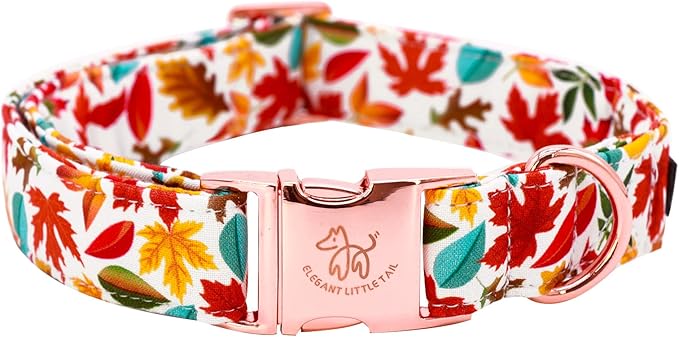 Elegant little tail Fall Dog Collar, Autumn Leaves Pet Collar Durable Dog Collars Male or Female Holiday Pet Gift Adjustable Dog Collar for X-Small Dogs