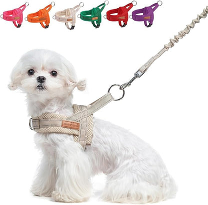 BEAUTYZOO Dog Harness for Small Dogs, No Pull Dog Harness and Leash Set, Escape Proof Puppy Vest Harness with Handle, Reflective Breathable Mesh Padded Harness for Girl Boy Dogs, Beige XXS