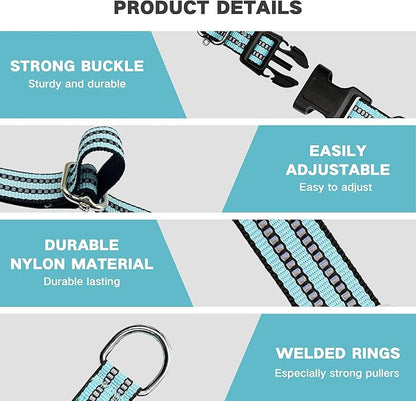 Hikiko Martingale Dog Collars Reflective Nylon Dog Collar with Quick Release Buckle Adjustable Training No Slip Dog Collar (Medium, Sky Blue)