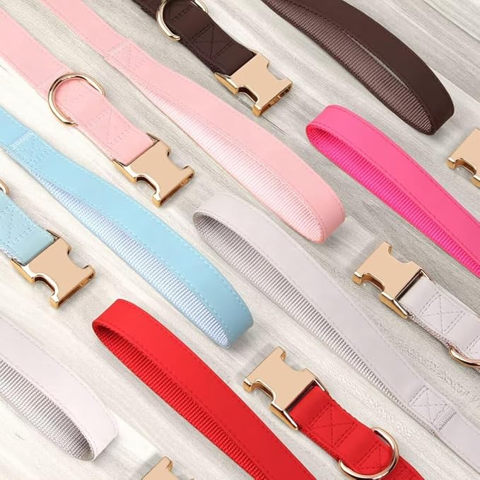 PET ARTIST Soft PU Leather Dog Collar and Leash Set, Bright & Stylish 5FT PU Leather Leash and Collar Set, Durable Pet Collars with Quick Release Metal Buckle for Large Dogs,Pink,L(16-27")