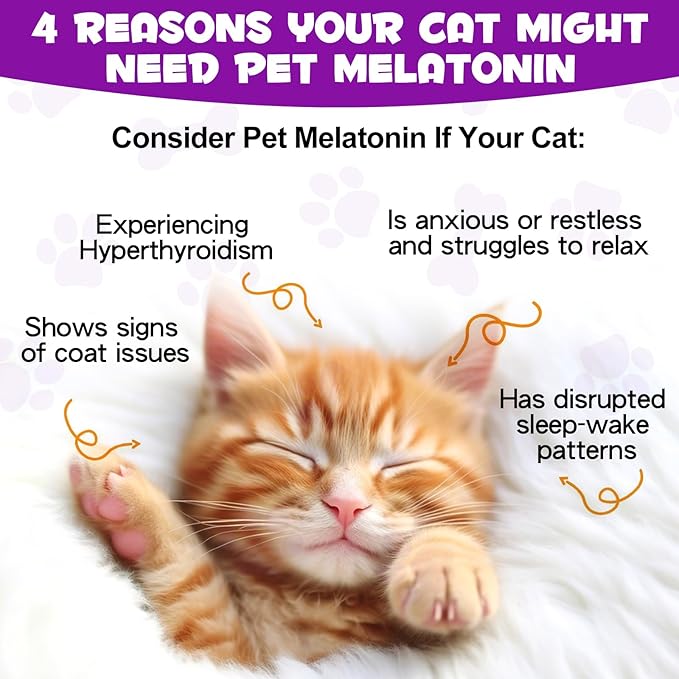 asusxcli Melatonin for Cats - Cat Calming Treats- Cat Sedative for Grooming - Helps to Support Restful Sleep for Your Cat - Cat Sleep Aid - Anxiety Relief for Cats