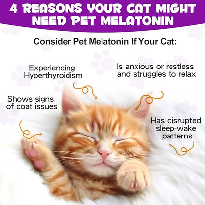 asusxcli Melatonin for Cats - Cat Calming Treats- Cat Sedative for Grooming - Helps to Support Restful Sleep for Your Cat - Cat Sleep Aid - Anxiety Relief for Cats