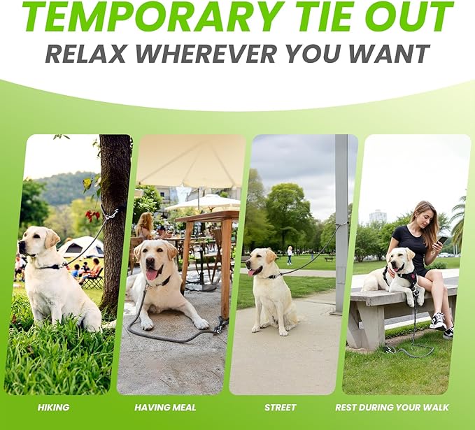 6-in-1 Heavy Duty Multifunctional Reflective Dog Leash for Medium & Large Dogs, 6.5ft Adjustable Hand Free Nylon Lead with Double Strength Clips, Perfect for Tie Out Training & Jogging (Grey)