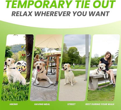 6-in-1 Heavy Duty Multifunctional Reflective Dog Leash for Medium & Large Dogs, 6.5ft Adjustable Hand Free Nylon Lead with Double Strength Clips, Perfect for Tie Out Training & Jogging (Grey)