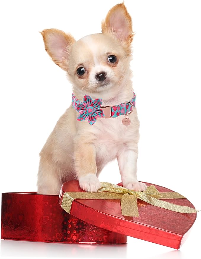UP URARA PUP Valentine Dog Collar with Flower, Heart Flower Collar for Puppy Girl Boy Dog or Cat, Comfortable Dog Collar Flower with Durable Metal Buckle, Cute Pet Collar, XS, Neck 8-12in