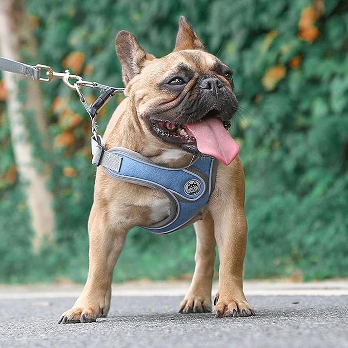 Small Dog Harness and Leash Set,No Pull Adjustable Step in Soft Mesh Vest Harness,Easy Walk Reflective Pet Harness with Padded Handle for Walking Training Small Medium Large Dogs and Cats (Blue, S)