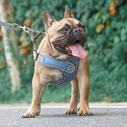 Small Dog Harness and Leash Set,No Pull Adjustable Step in Soft Mesh Vest Harness,Easy Walk Reflective Pet Harness with Padded Handle for Walking Training Small Medium Large Dogs and Cats (Blue, S)